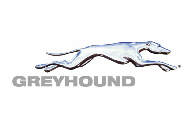 Greyhound