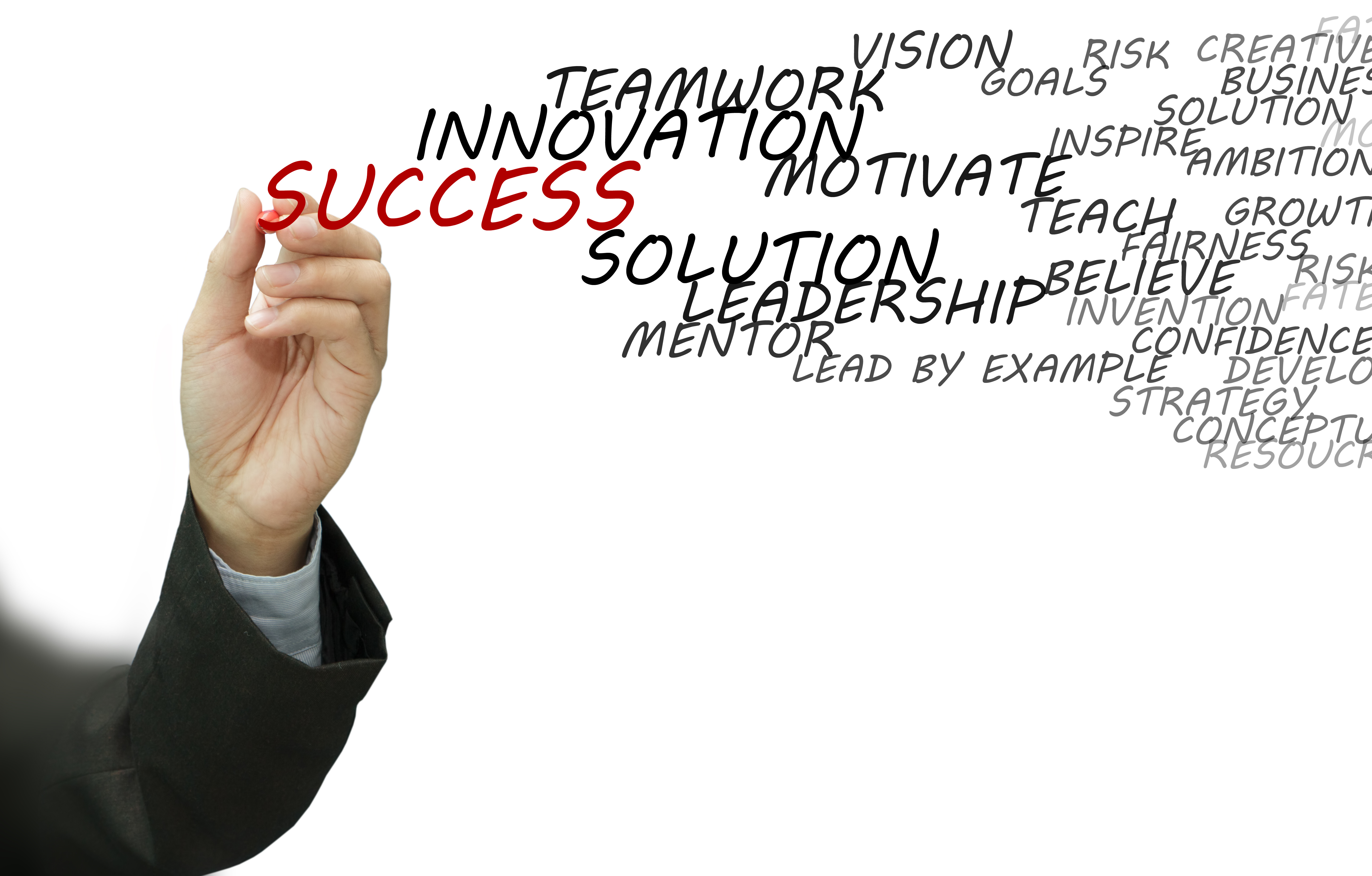 The Power of CEO Coaching During Onboarding