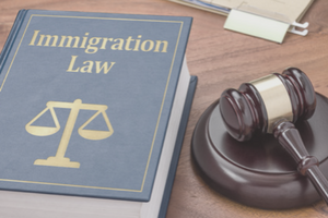 image of immigration law