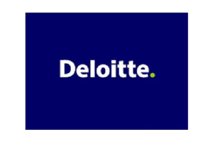 Case Study: Deloitte and Touche, L.L.P.