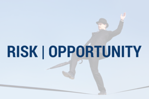 Risks and Opportunities in the Coming Year