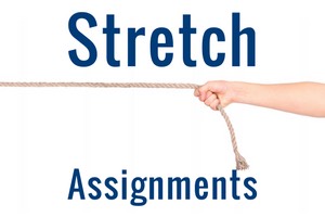 another word for stretch assignment
